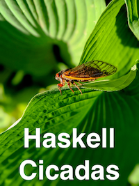 book cover with green leaf, a cicada in the middle